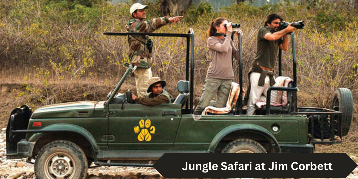 Jungle Safari in Jim Corbett